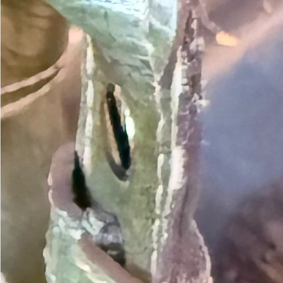 Kathy Van Zeeland Purse Metallic Green Silver Charm Satchel Bag - Picture 15 of 16